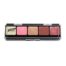 Load image into Gallery viewer, Graftobian Lipstick Palettes