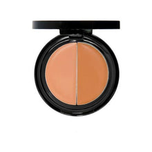 Load image into Gallery viewer, Eve Pearl Dual Salmon Concealer &amp; Treatment
